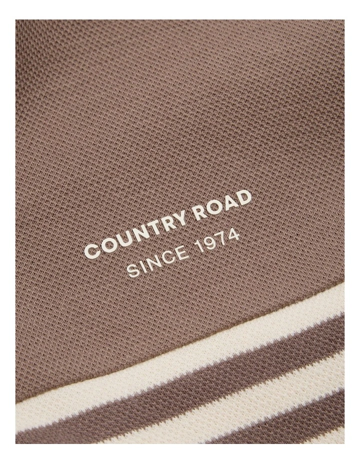 Organically Grown Cotton Logo Hooded T-shirt in Chocolate Stripe