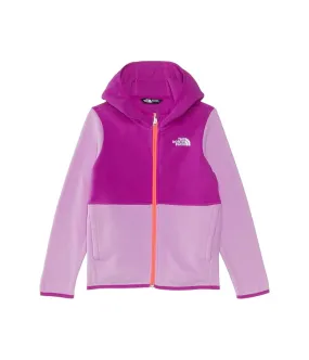 The North Face Kids Glacier Full Zip Hoodie (Toddler)