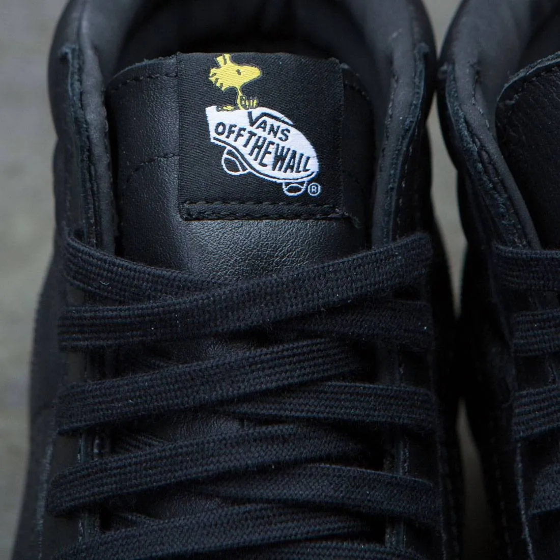 Vans x Peanuts Men SK8-Hi Reissue - Snoopy (black)